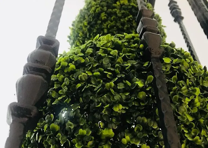 My Vera Butik Bed & Breakfast Alaçatı