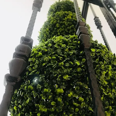 My Vera Butik Couette-café Alaçatı